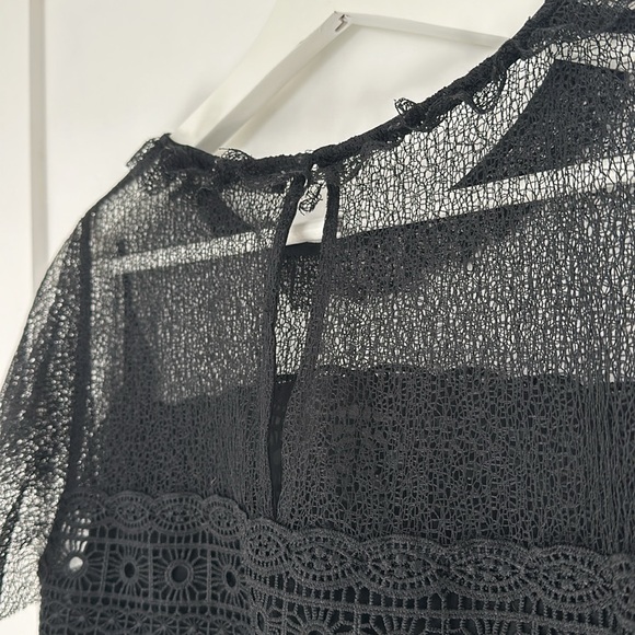Zara Basic Black Lace Pleated Blouse - Picture 6 of 6